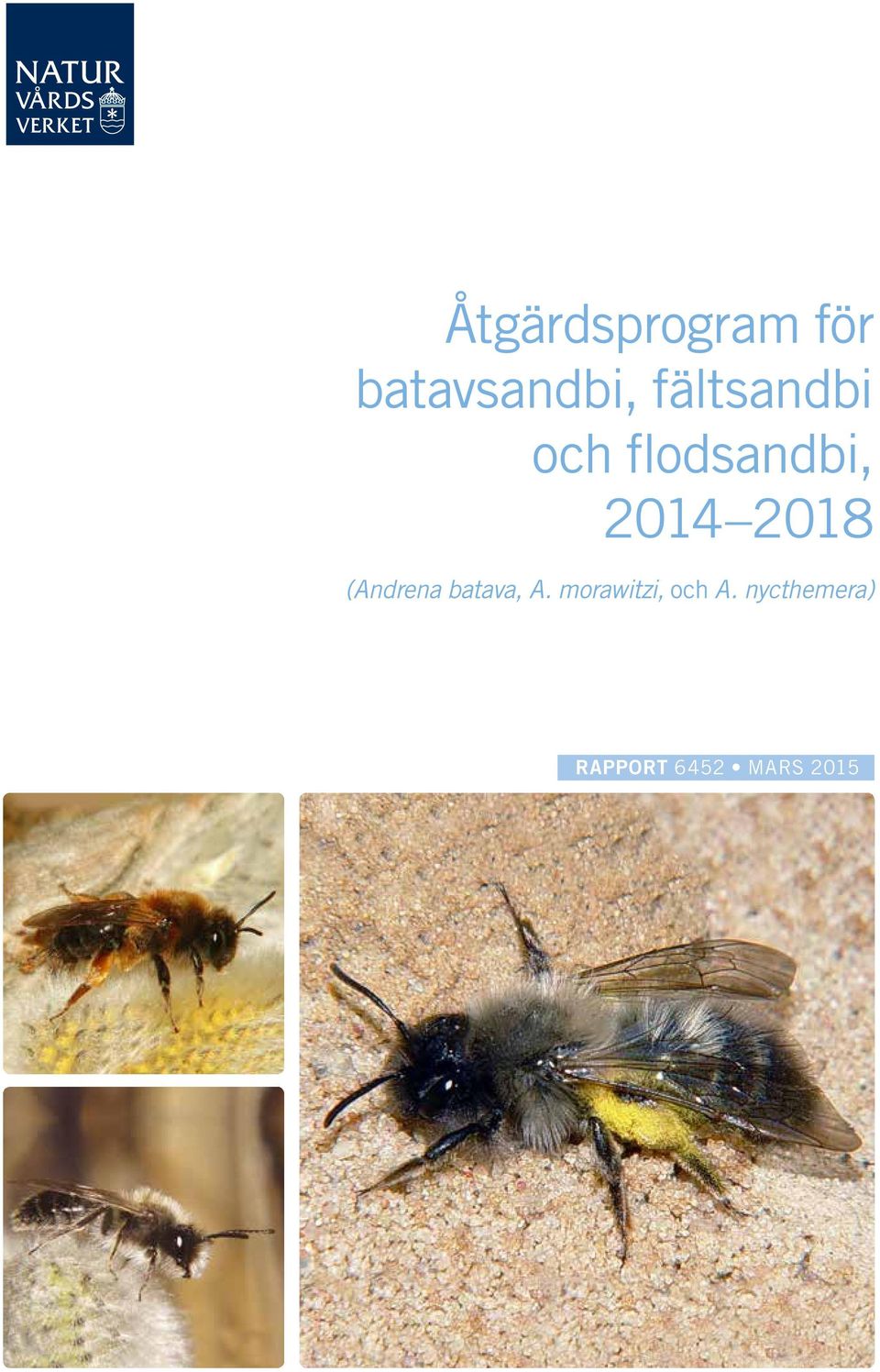 2018 (Andrena batava, A.