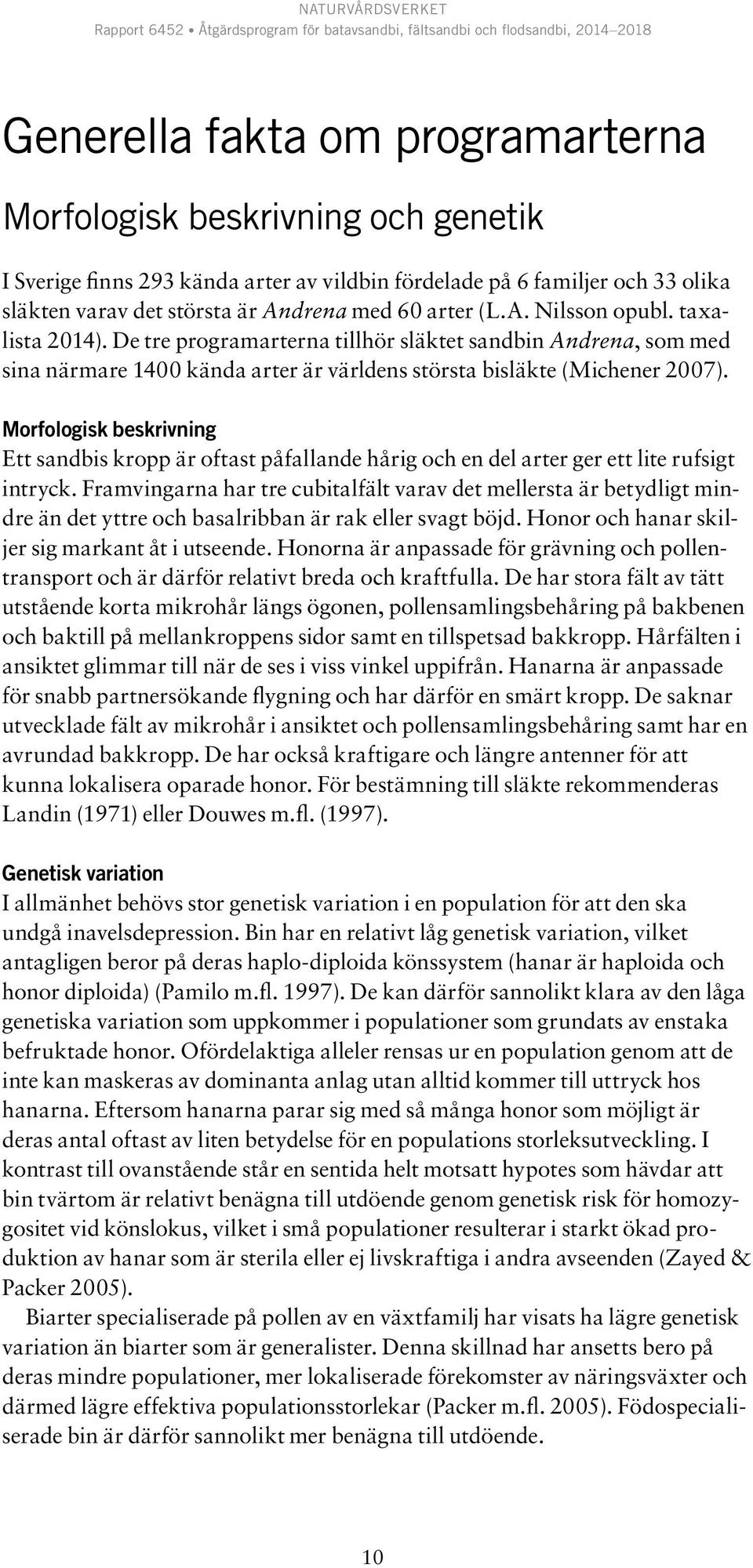 Morfologisk beskrivning Ett sandbis kropp är oftast påfallande hårig och en del arter ger ett lite rufsigt intryck.