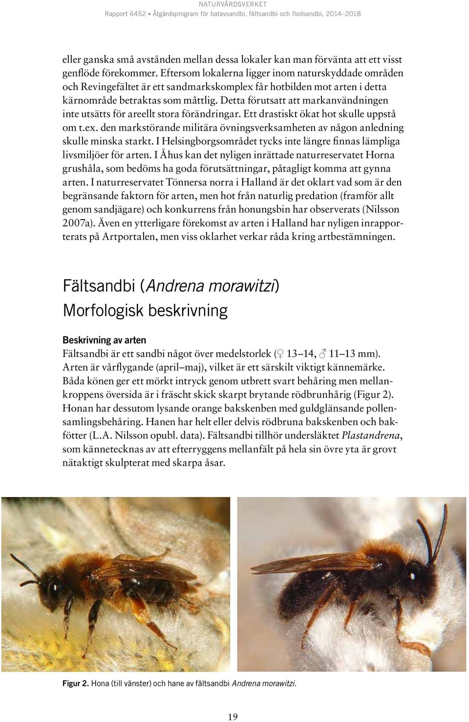 Detta förutsatt att markanvändningen inte utsätts för areellt stora förändringar. Ett drastiskt ökat hot skulle uppstå om t.ex.