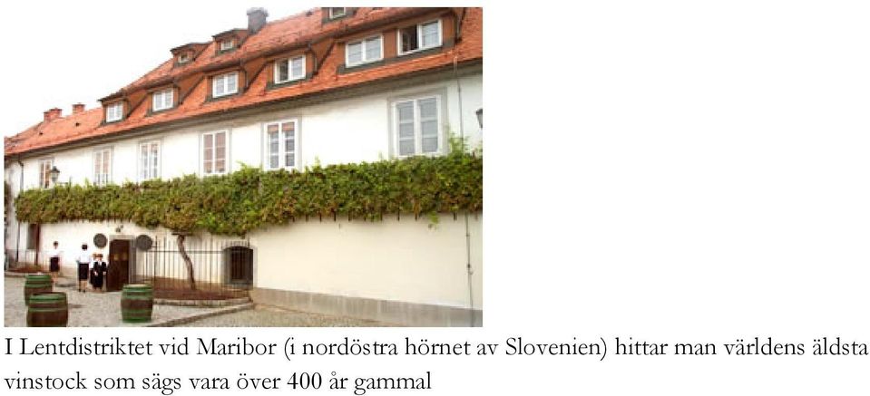 hittar man världens äldsta