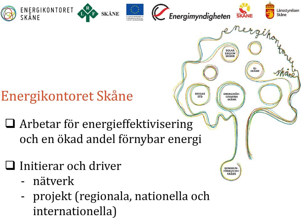 förnybar energi Initierar och driver -