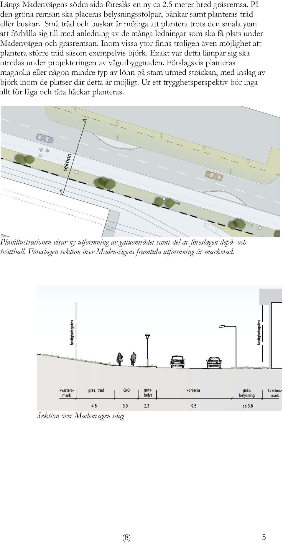 Inom vissa ytor finns troligen även möjlighet att plantera större träd såsom exempelvis björk. Exakt var detta lämpar sig ska utredas under projekteringen av vägutbyggnaden.