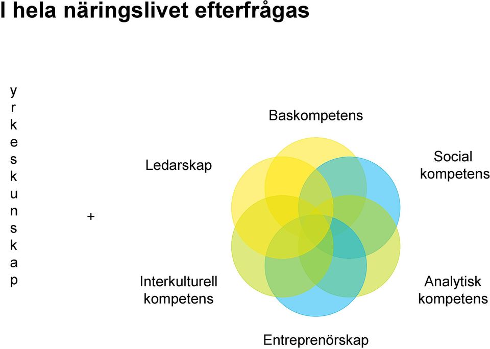 Interkulturell kompetens Baskompetens