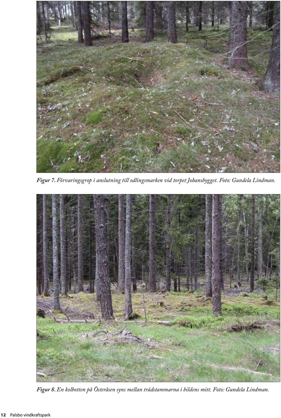 torpet Johansbygget. Foto: Gundela Lindman. Figur 8.