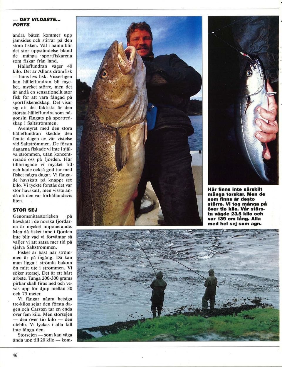 Visserligen kan hälleflundran bli mycket, mycket större, men det är ändå en sensationellt stor fisk för att vara fångad på sportfiskeredskap.