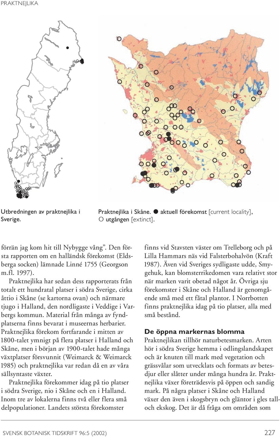Praktnejlika har sedan dess rapporterats från totalt ett hundratal platser i södra Sverige, cirka åttio i Skåne (se kartorna ovan) och närmare tjugo i Halland, den nordligaste i Veddige i Varbergs