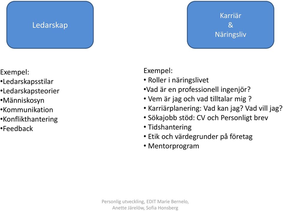 professionell ingenjör? Vem är jag och vad tilltalar mig? Karriärplanering: Vad kan jag?