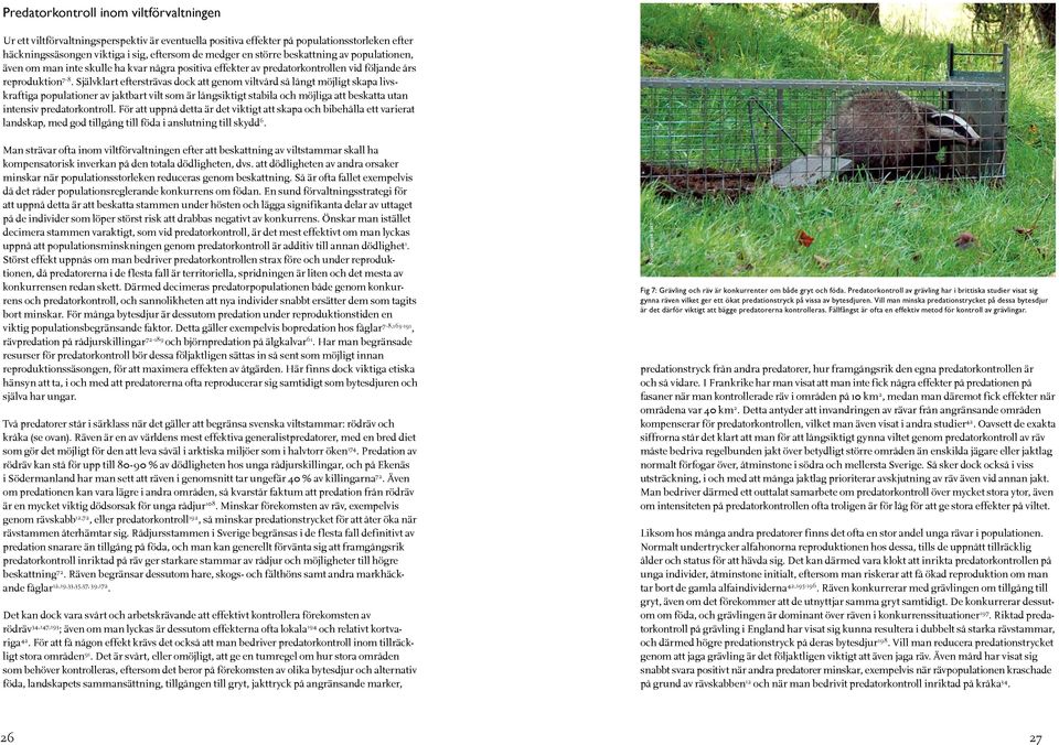 Självklart eftersträvas dock att genom viltvård så långt möjligt skapa livskraftiga populationer av jaktbart vilt som är långsiktigt stabila och möjliga att beskatta utan intensiv predatorkontroll.
