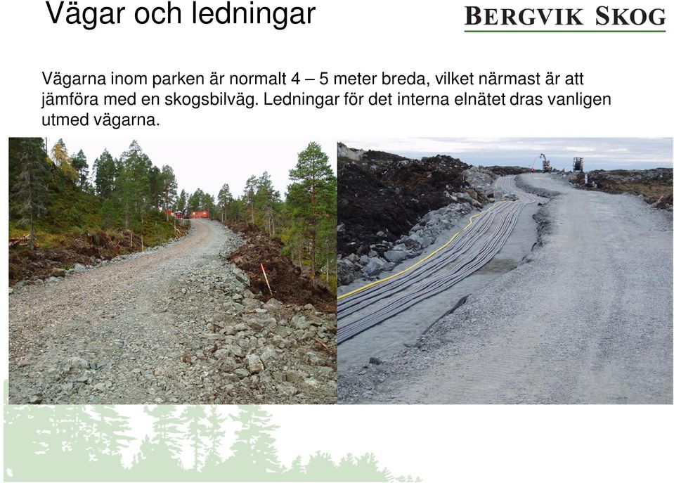att jämföra med en skogsbilväg.