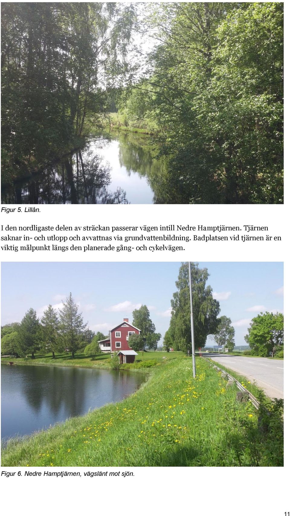 Hamptjärnen.