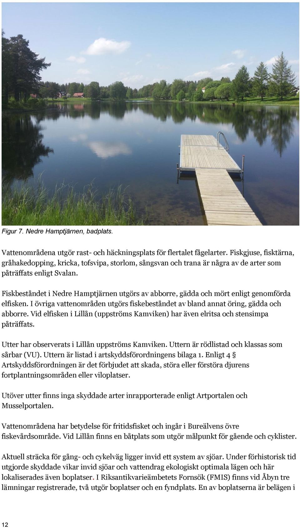 Fiskbeståndet i Nedre Hamptjärnen utgörs av abborre, gädda och mört enligt genomförda elfisken. I övriga vattenområden utgörs fiskebeståndet av bland annat öring, gädda och abborre.