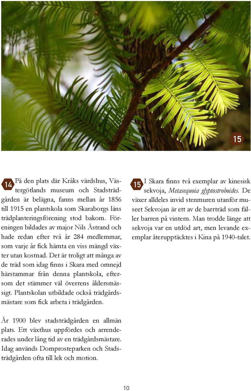 Det är troligt att många av de träd som idag finns i Skara med omnejd härstammar från denna plantskola, eftersom det stämmer väl överrens åldersmässigt.