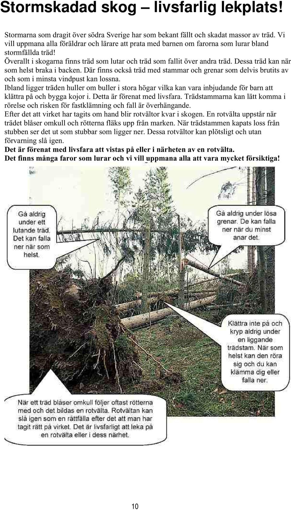 Dessa träd kan när som helst braka i backen. Där finns också träd med stammar och grenar som delvis brutits av och som i minsta vindpust kan lossna.