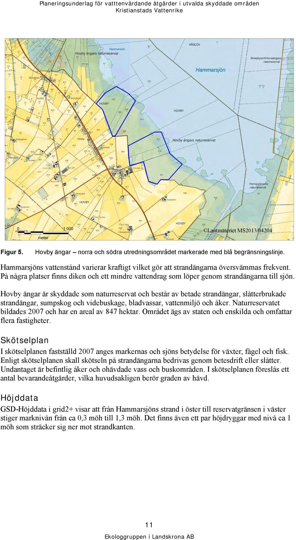 Hovby ängar är skyddade som naturreservat och består av betade strandängar, slåtterbrukade strandängar, sumpskog och videbuskage, bladvassar, vattenmiljö och åker.
