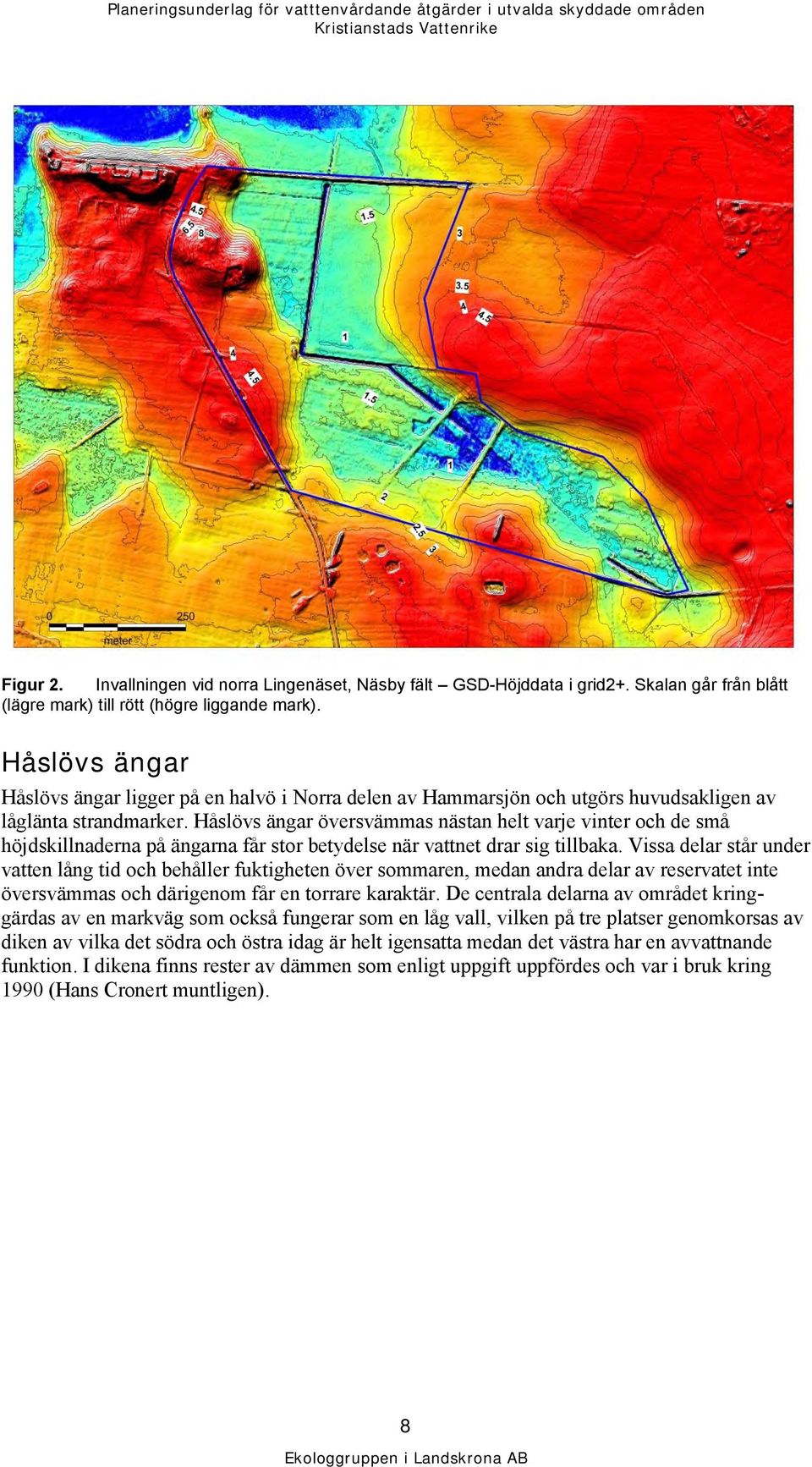 Håslövs ängar översvämmas nästan helt varje vinter och de små höjdskillnaderna på ängarna får stor betydelse när vattnet drar sig tillbaka.