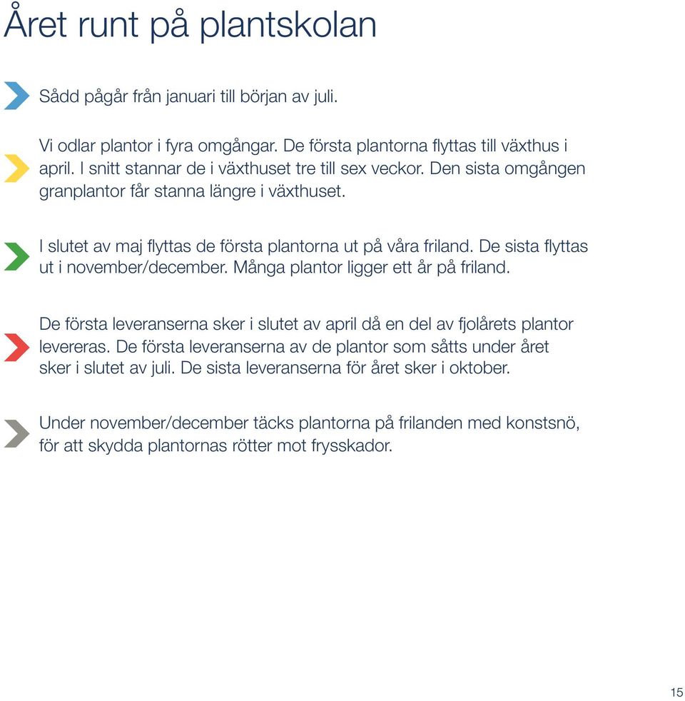 De sista flyttas ut i november/december. Många plantor ligger ett år på friland. De första leveranserna sker i slutet av april då en del av fjolårets plantor levereras.