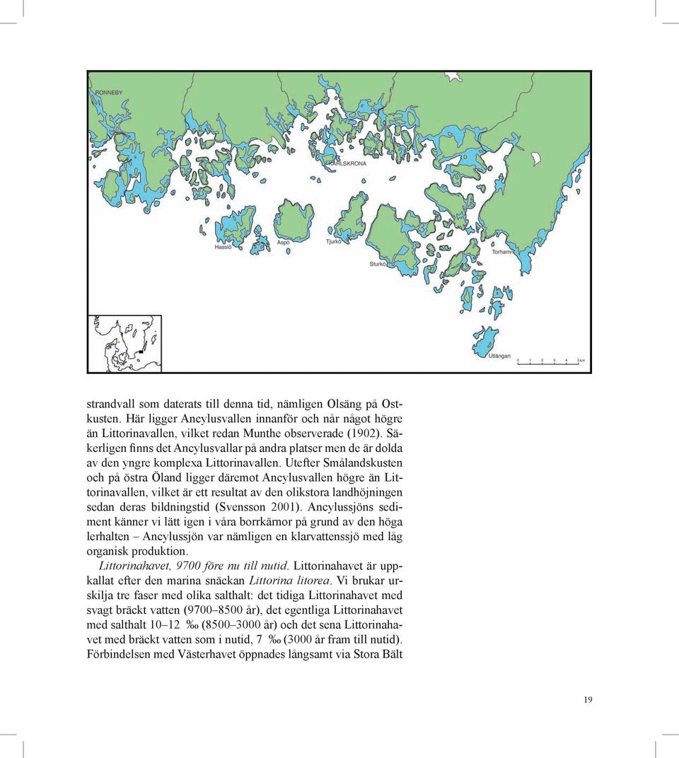 Utefter Smålandskusten och på östra Öland ligger däremot Ancylusvallen högre än Littorinavallen, vilket är ett resultat av den olikstora landhöjningen sedan deras bildningstid (Svensson 2001).