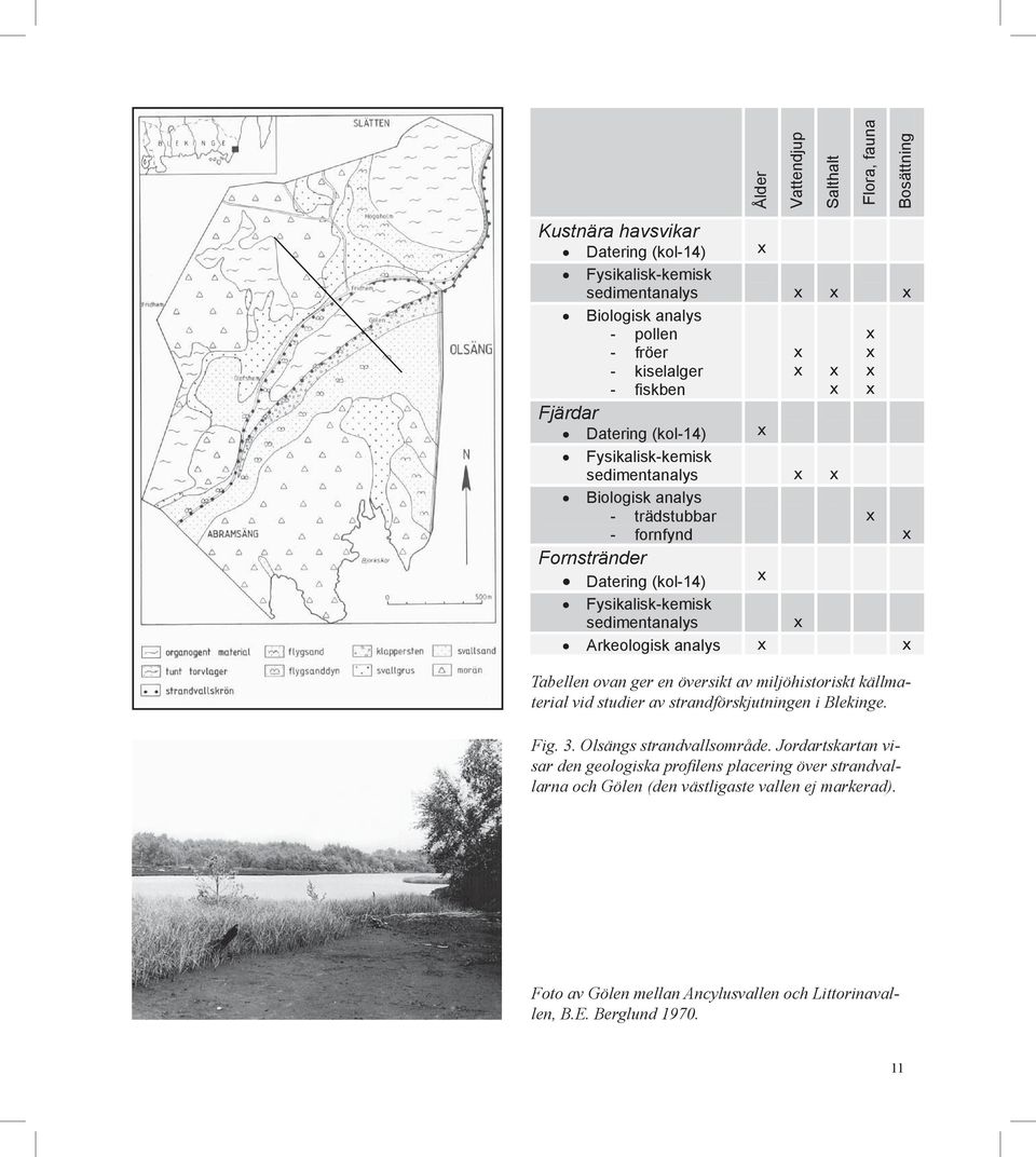 Arkeologisk analys x x Tabellen ovan ger en översikt av miljöhistoriskt källmaterial vid studier av strandförskjutningen i Blekinge. Fig. 3. Olsängs strandvallsområde.