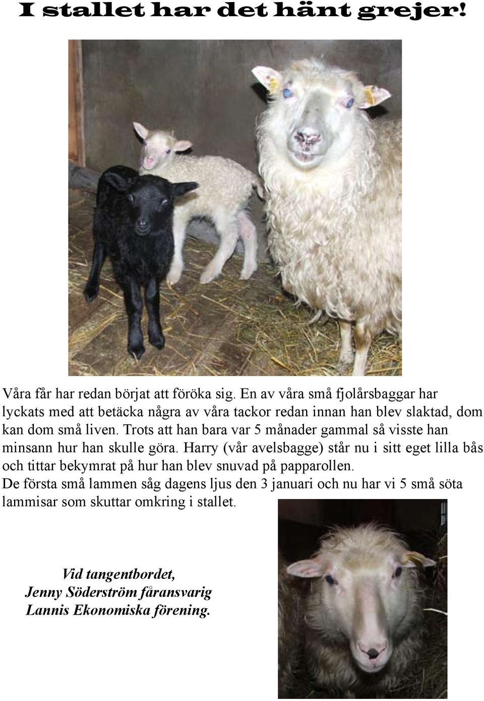Trots att han bara var 5 månader gammal så visste han minsann hur han skulle göra.