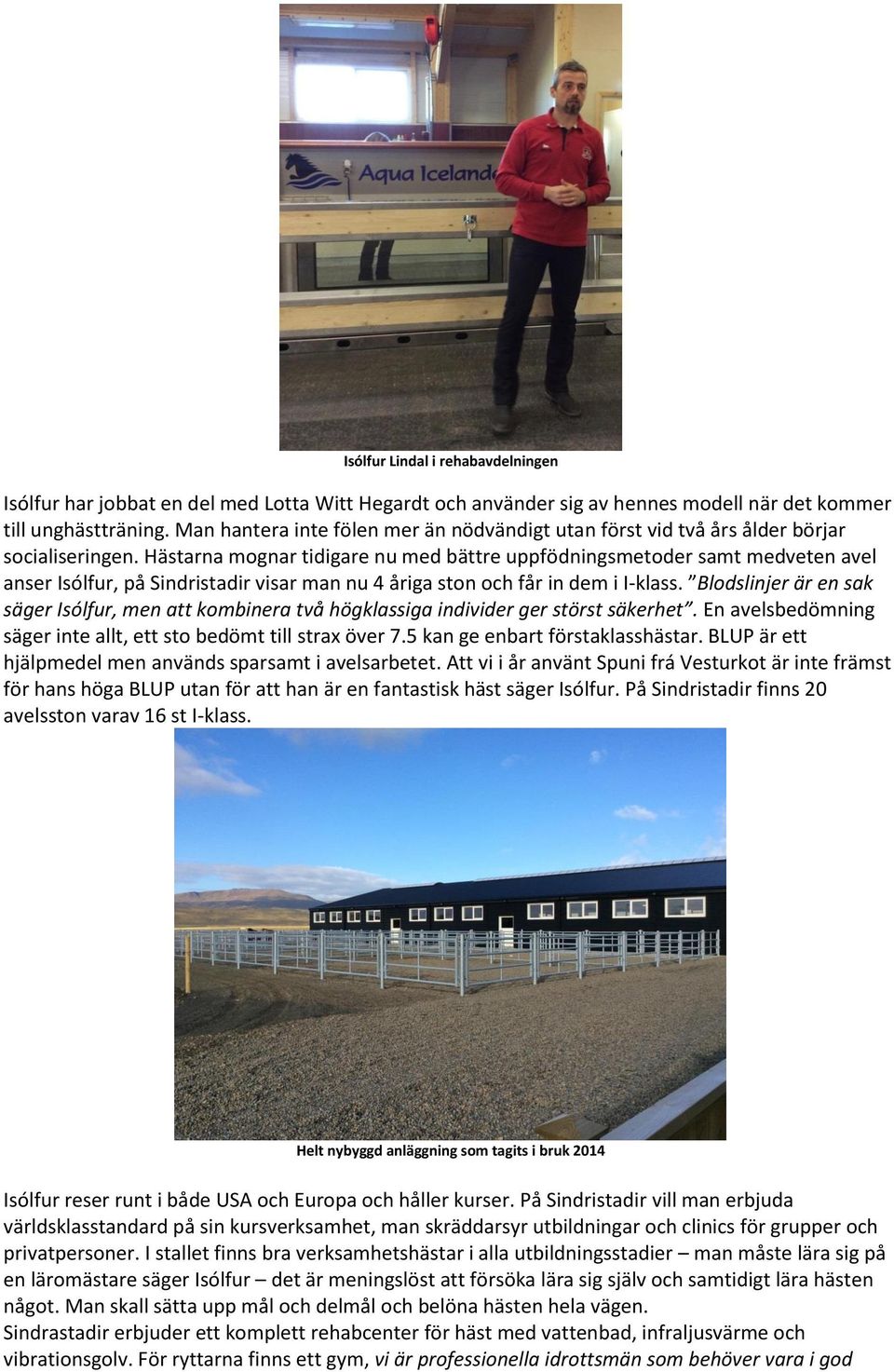Hästarna mognar tidigare nu med bättre uppfödningsmetoder samt medveten avel anser Isólfur, på Sindristadir visar man nu 4 åriga ston och får in dem i I-klass.