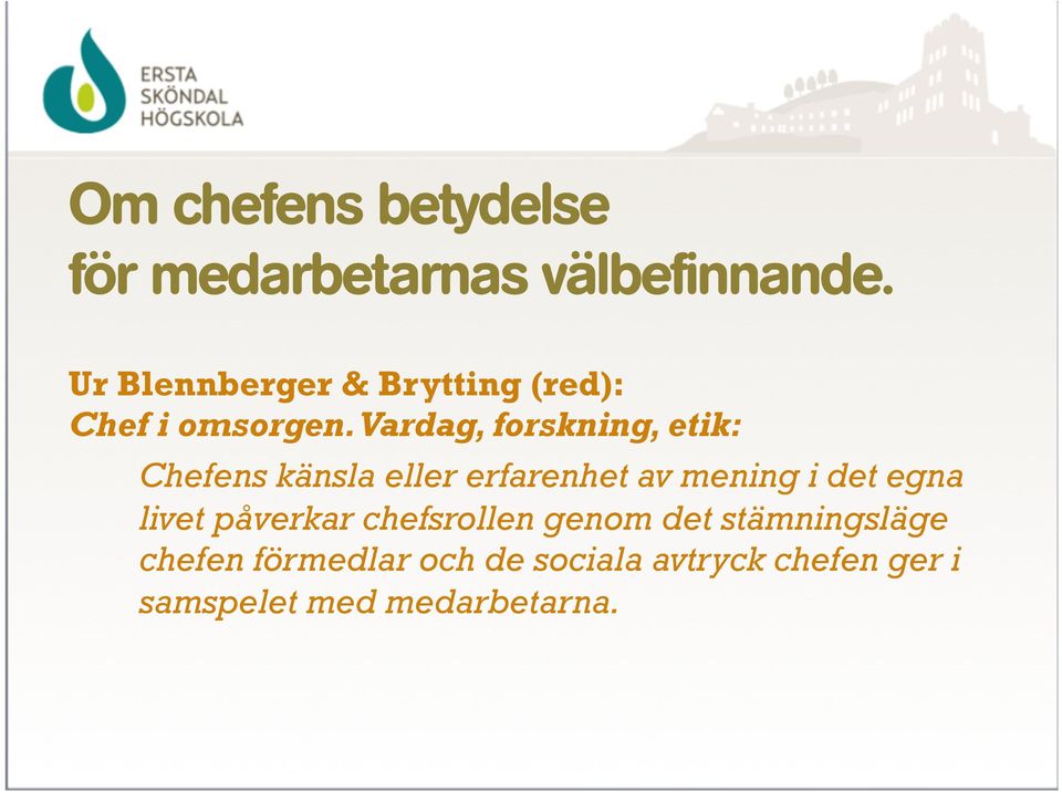 Vardag, forskning, etik: Chefens känsla eller erfarenhet av mening i det egna