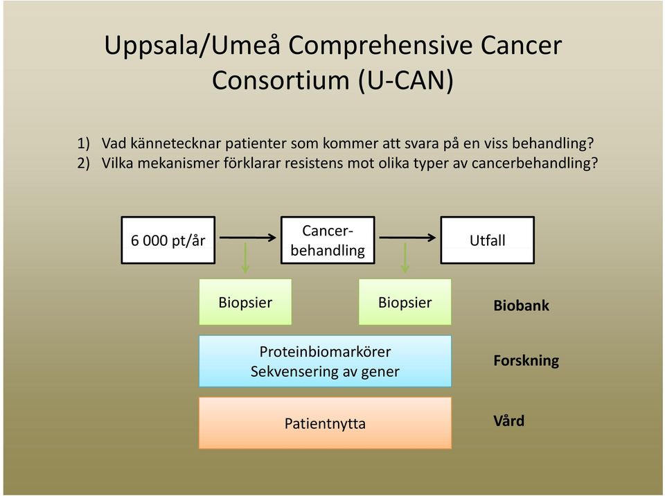 2) Vilka mekanismer förklarar resistens mot olika typer av cancerbehandling?