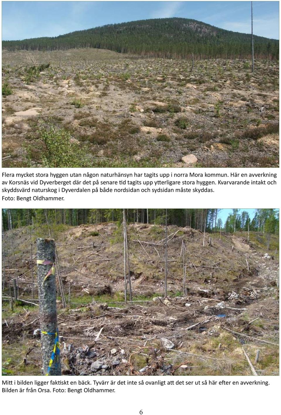 Kvarvarande intakt och skyddsvärd naturskog i Dyverdalen på både nordsidan och sydsidan måste skyddas.