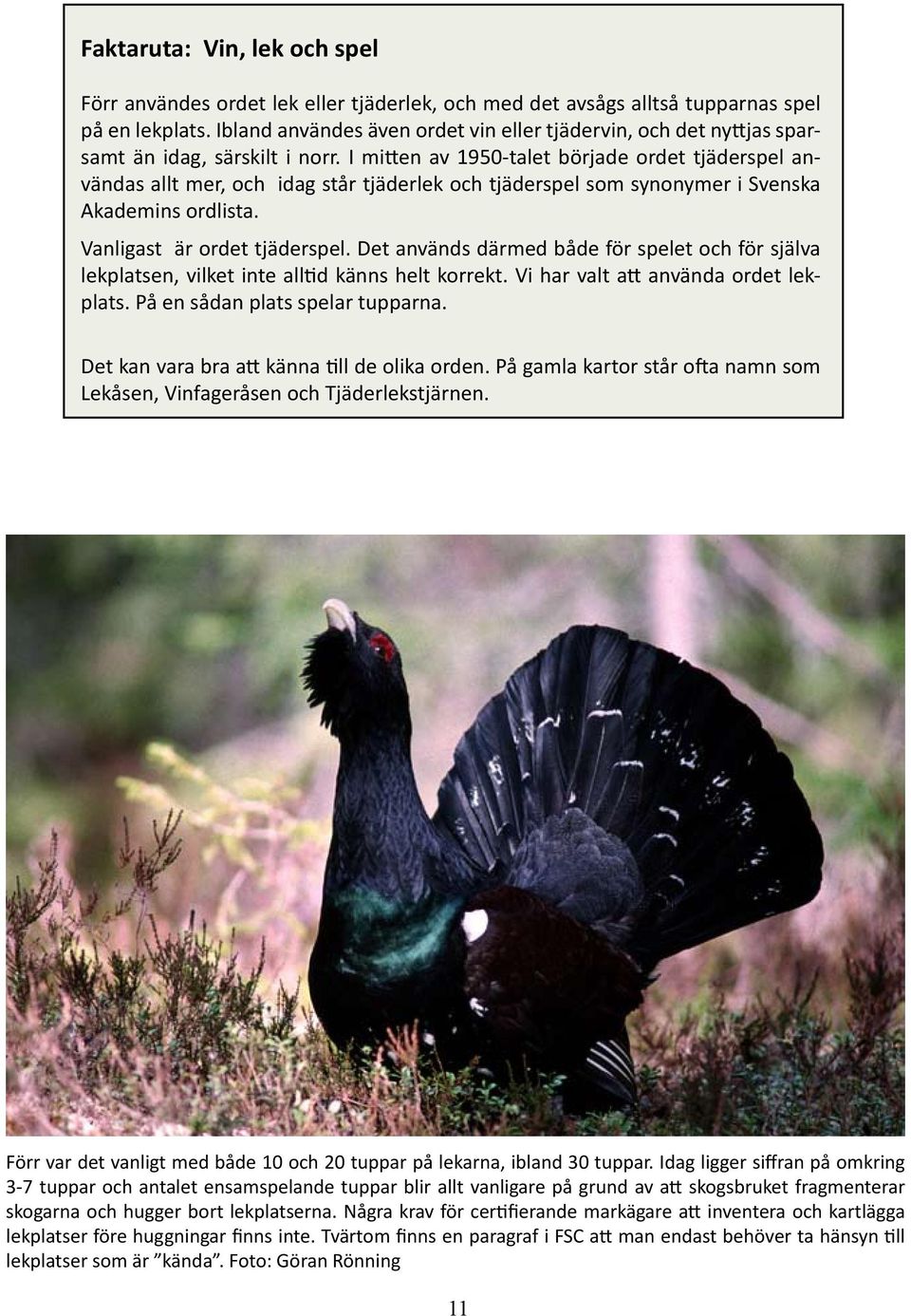 I mitten av 1950-talet började ordet tjäderspel användas allt mer, och idag står tjäderlek och tjäderspel som synonymer i Svenska Akademins ordlista. Vanligast är ordet tjäderspel.
