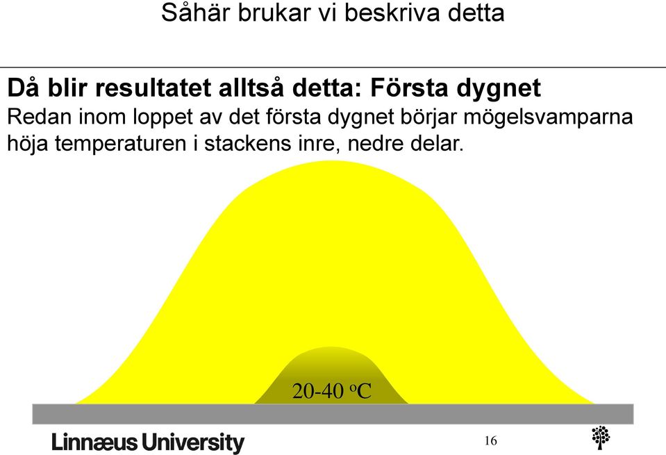 det första dygnet börjar mögelsvamparna höja