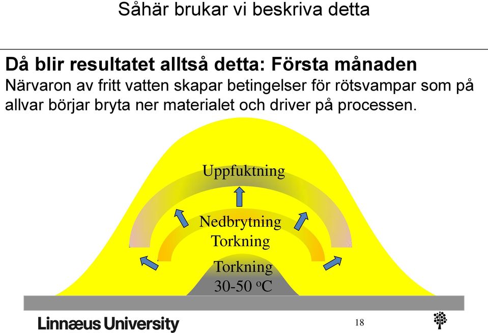 rötsvampar som på allvar börjar bryta ner materialet och driver