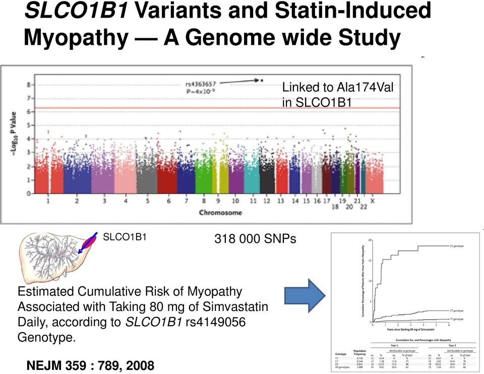 Cumulative Risk of Myopathy Associated with Taking 80 mg of