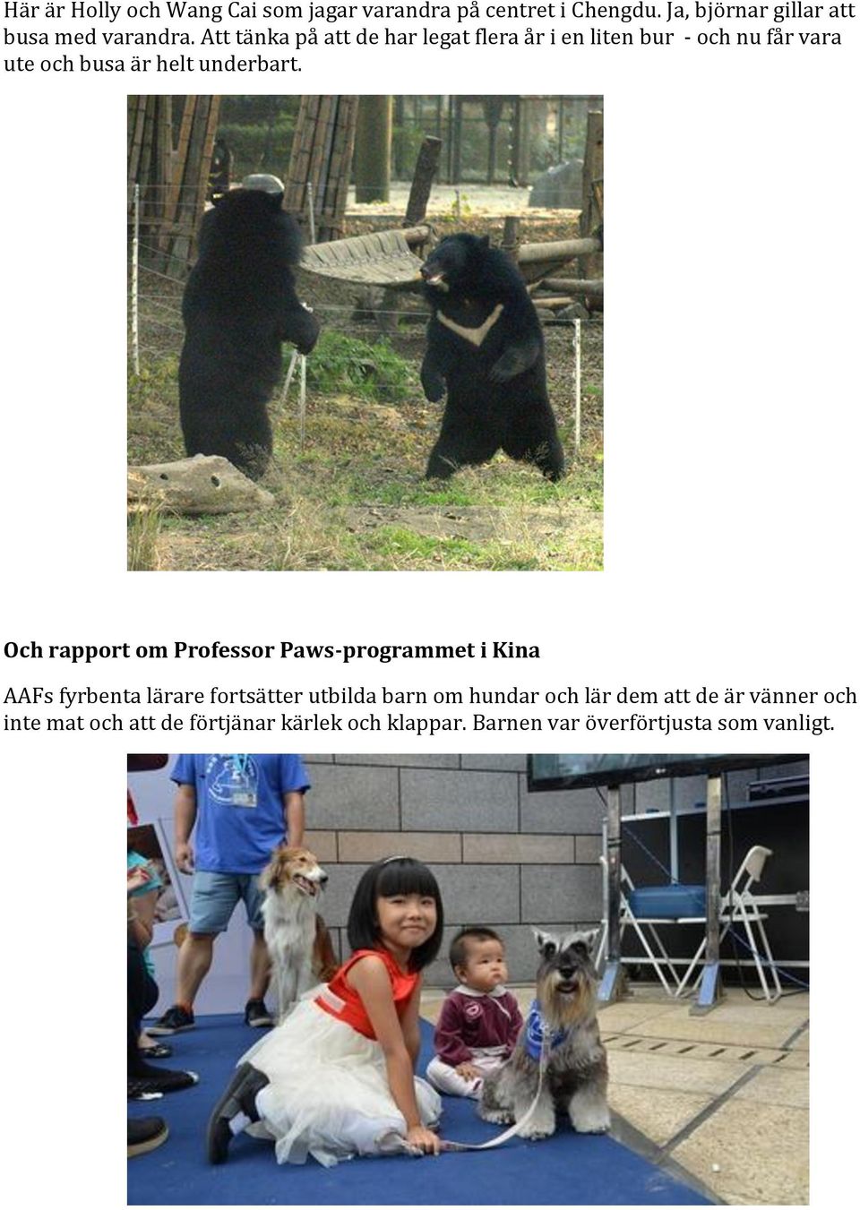 Och rapport om Professor Paws-programmet i Kina AAFs fyrbenta lärare fortsätter utbilda barn om hundar och
