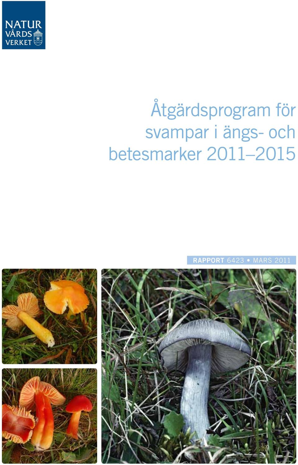 betesmarker 2011