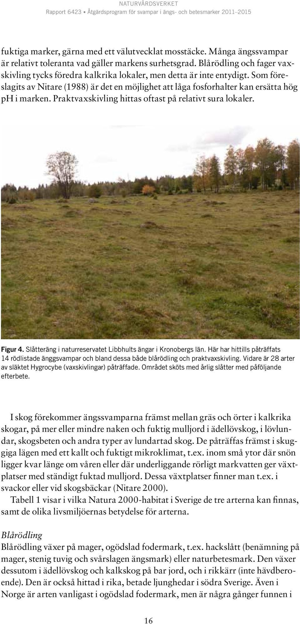 Praktvaxskivling hittas oftast på relativt sura lokaler. Figur 4. Slåtteräng i naturreservatet Libbhults ängar i Kronobergs län.