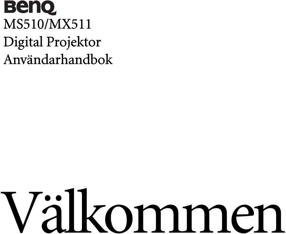Projektor