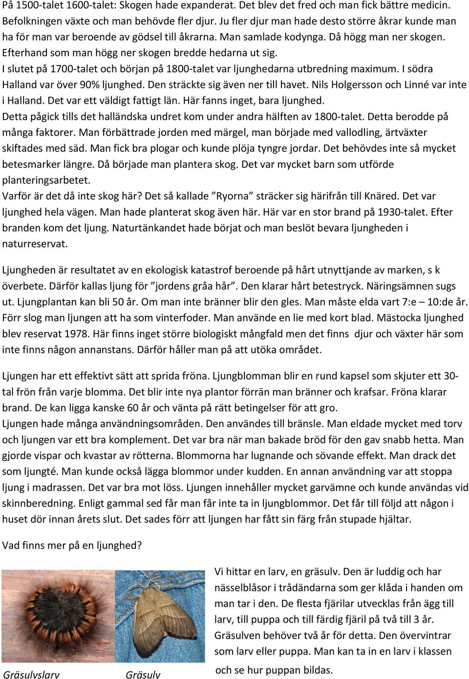 I slutet på 1700 talet och början på 1800 talet var ljunghedarna utbredning maximum. I södra Halland var över 90% ljunghed. Den sträckte sig även ner till havet.