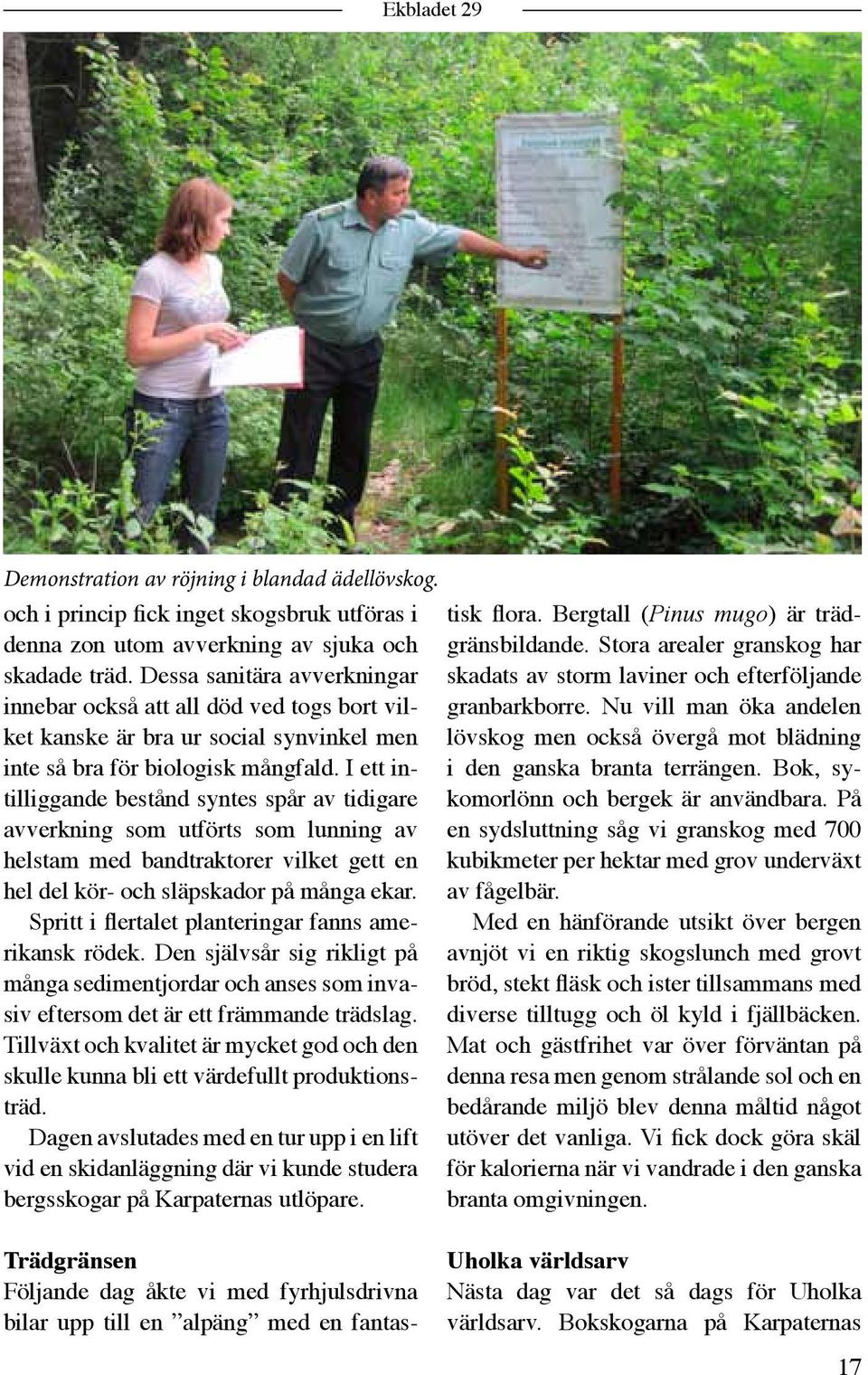 I ett intilliggande bestånd syntes spår av tidigare avverkning som utförts som lunning av helstam med bandtraktorer vilket gett en hel del kör- och släpskador på många ekar.