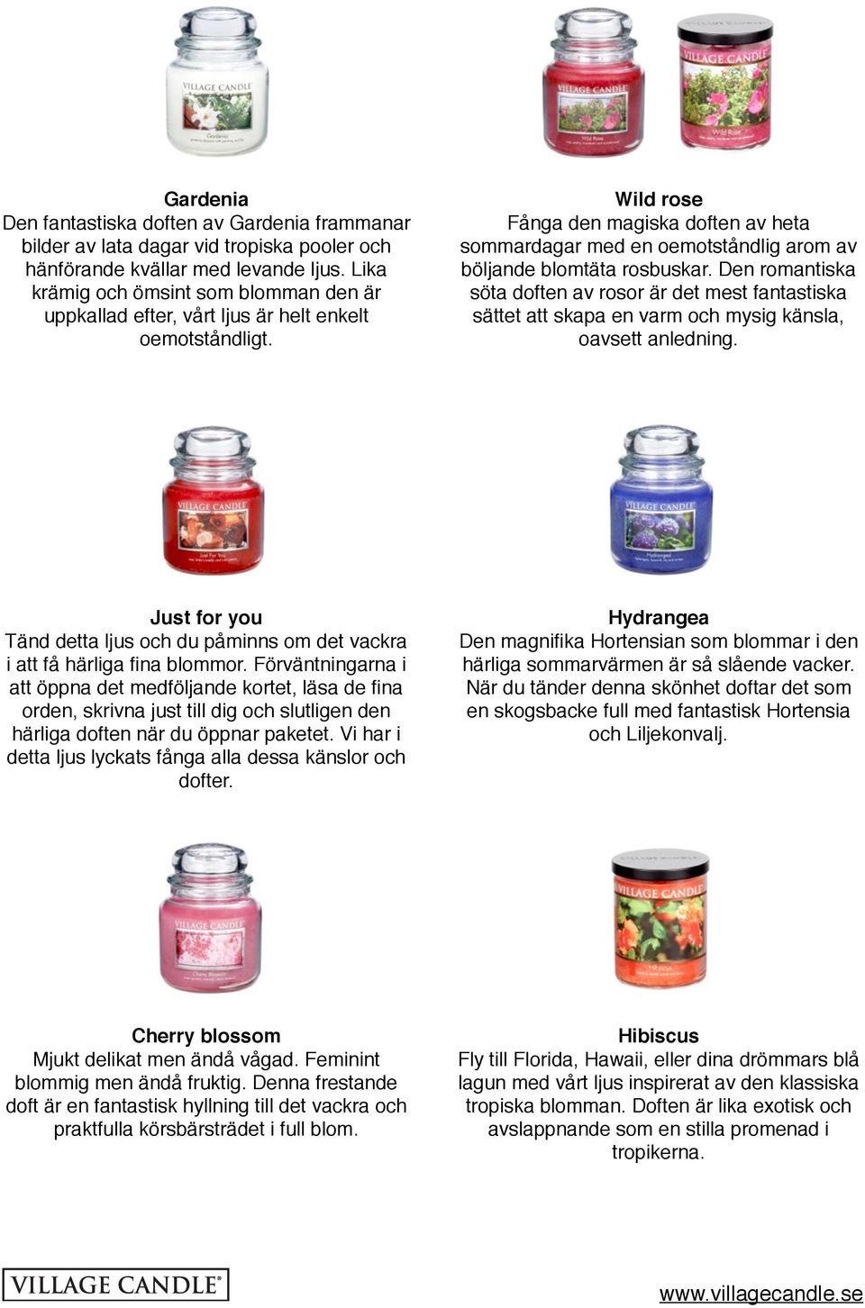 Wild rose Fånga den magiska doften av heta sommardagar med en oemotståndlig arom av böljande blomtäta rosbuskar.