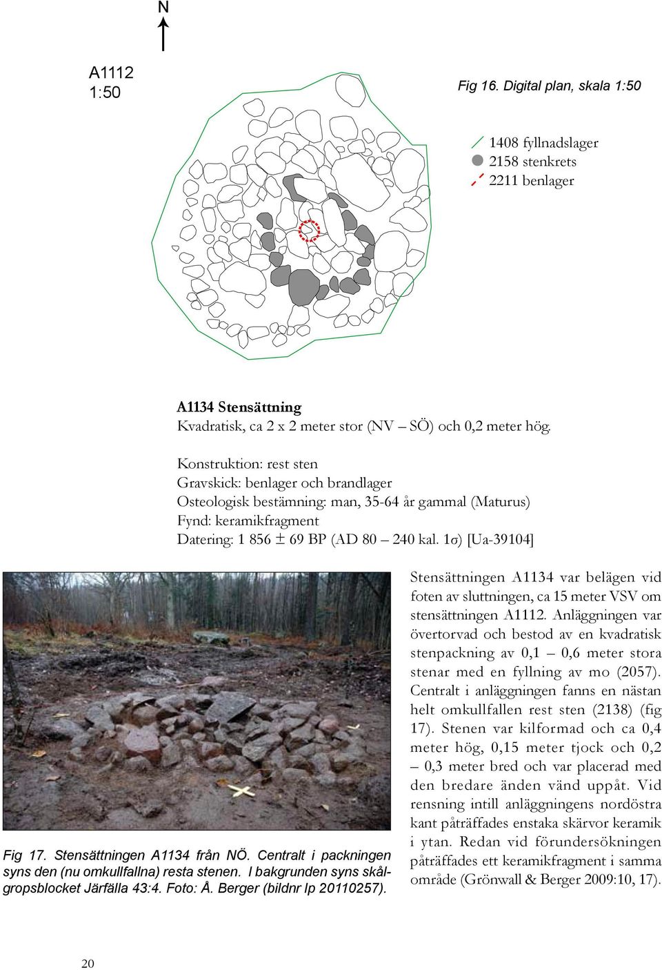 Stensättningen A1134 från NÖ. Centralt i packningen syns den (nu omkullfallna) resta stenen. I bakgrunden syns skålgropsblocket Järfälla 43:4. Foto: Å. Berger (bildnr lp 20110257).