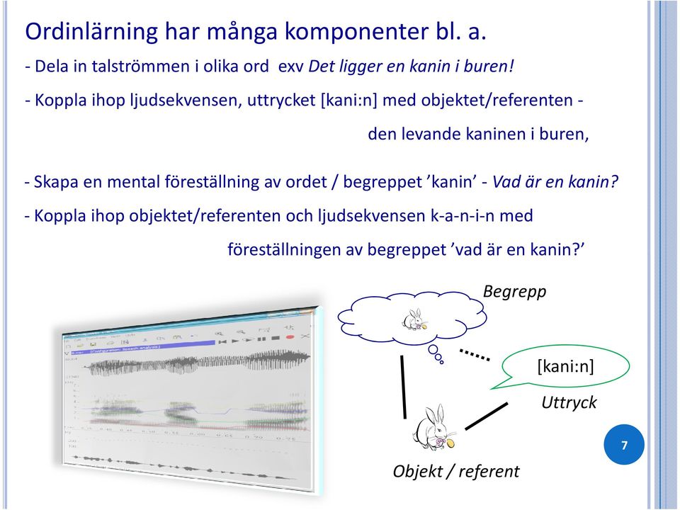 en mental föreställning av ordet / begreppet kanin -Vad är en kanin?