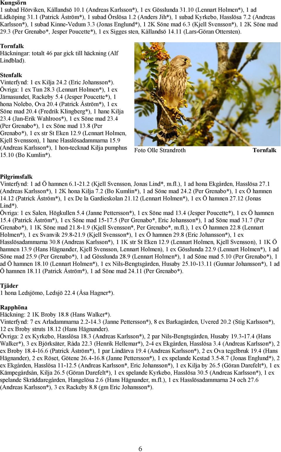 3 (Per Grenabo*, Jesper Poucette*), 1 ex Sigges sten, Kållandsö 14.11 (Lars-Göran Ottersten). Tornfalk Häckningar: totalt 46 par gick till häckning (Alf Lindblad). Stenfalk Vinterfynd: 1 ex Kilja 24.