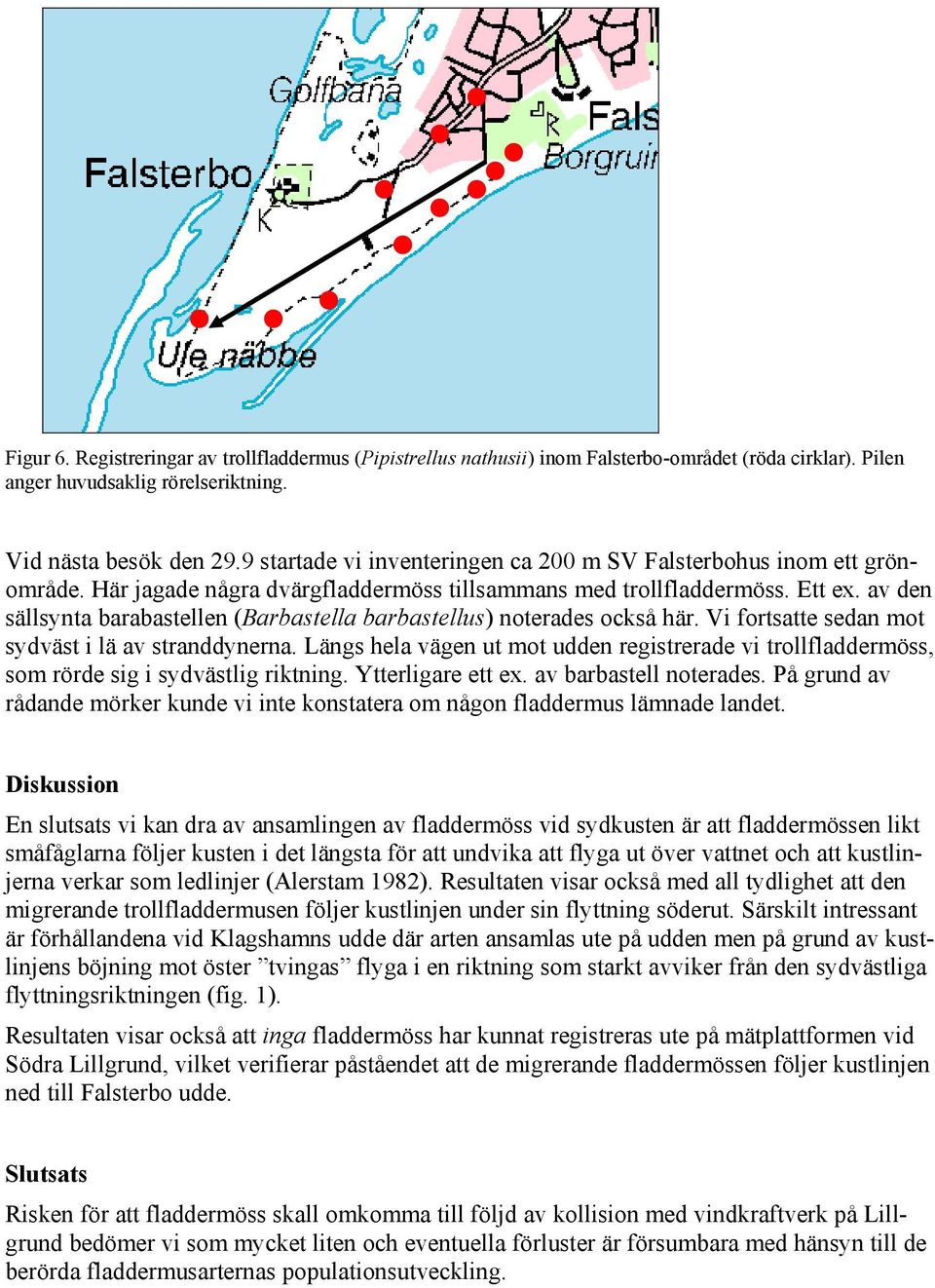 av den sällsynta barabastellen (Barbastella barbastellus) noterades också här. Vi fortsatte sedan mot sydväst i lä av stranddynerna.