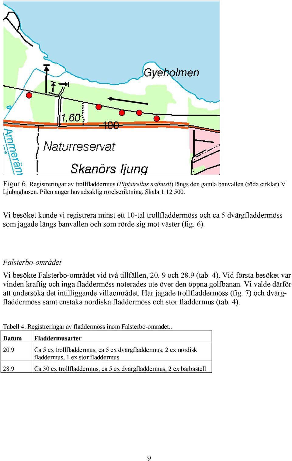 Falsterbo-området Vi besökte Falsterbo-området vid två tillfällen, 20. 9 och 28.9 (tab. 4). Vid första besöket var vinden kraftig och inga fladdermöss noterades ute över den öppna golfbanan.