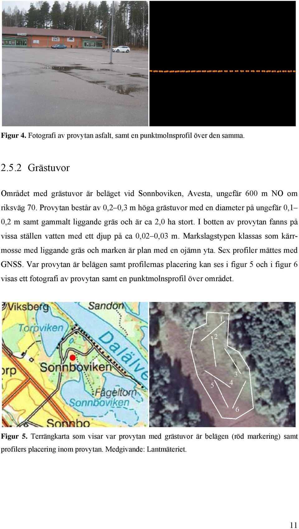 I botten av provytan fanns på vissa ställen vatten med ett djup på ca 0,02 0,03 m. Markslagstypen klassas som kärrmosse med liggande gräs och marken är plan med en ojämn yta.