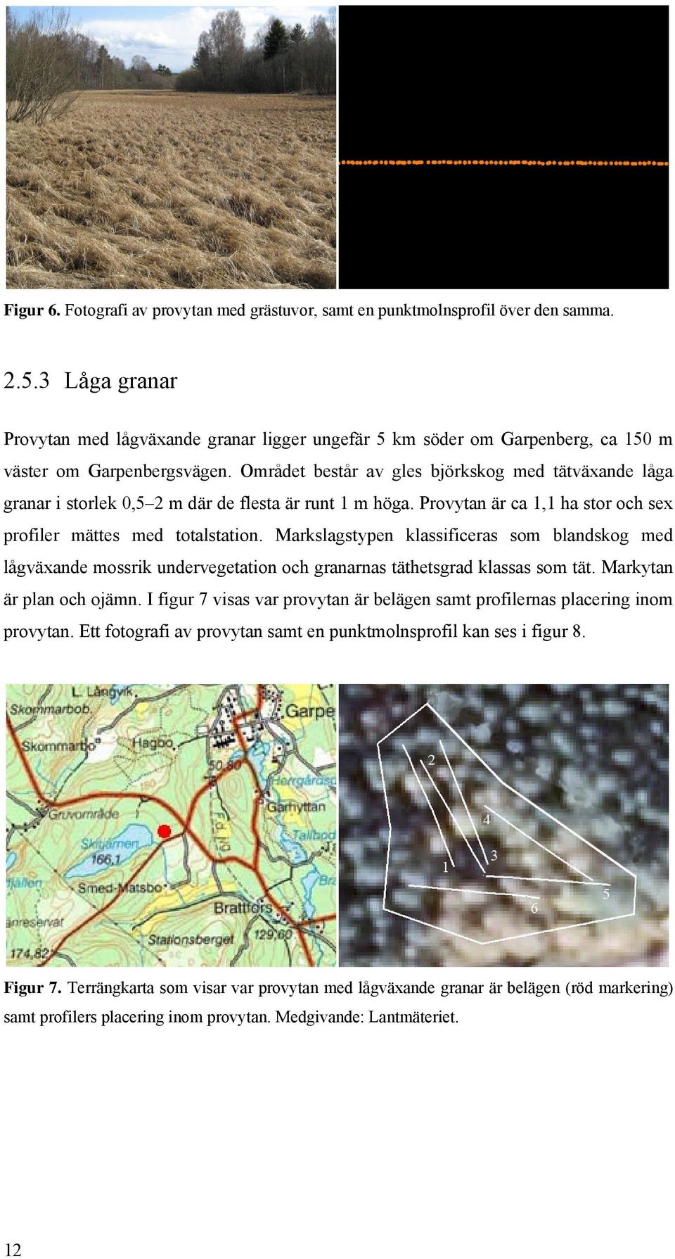Området består av gles björkskog med tätväxande låga granar i storlek 0,5 2 m där de flesta är runt 1 m höga. Provytan är ca 1,1 ha stor och sex profiler mättes med totalstation.
