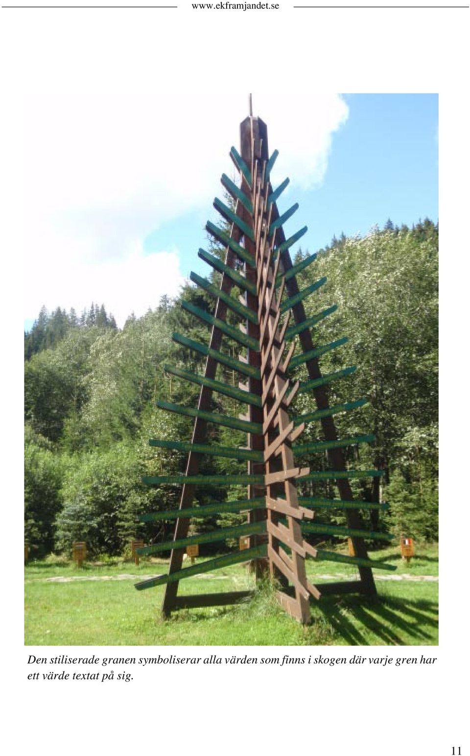 finns i skogen där varje