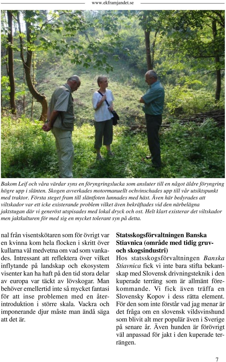 Även här bedyrades att viltskador var ett icke existerande problem vilket även bekräftades vid den närbelägna jaktstugan där vi generöst utspisades med lokal dryck och ost.