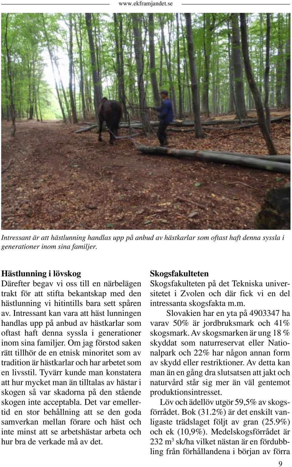 Intressant kan vara att häst lunningen handlas upp på anbud av hästkarlar som oftast haft denna syssla i generationer inom sina familjer.