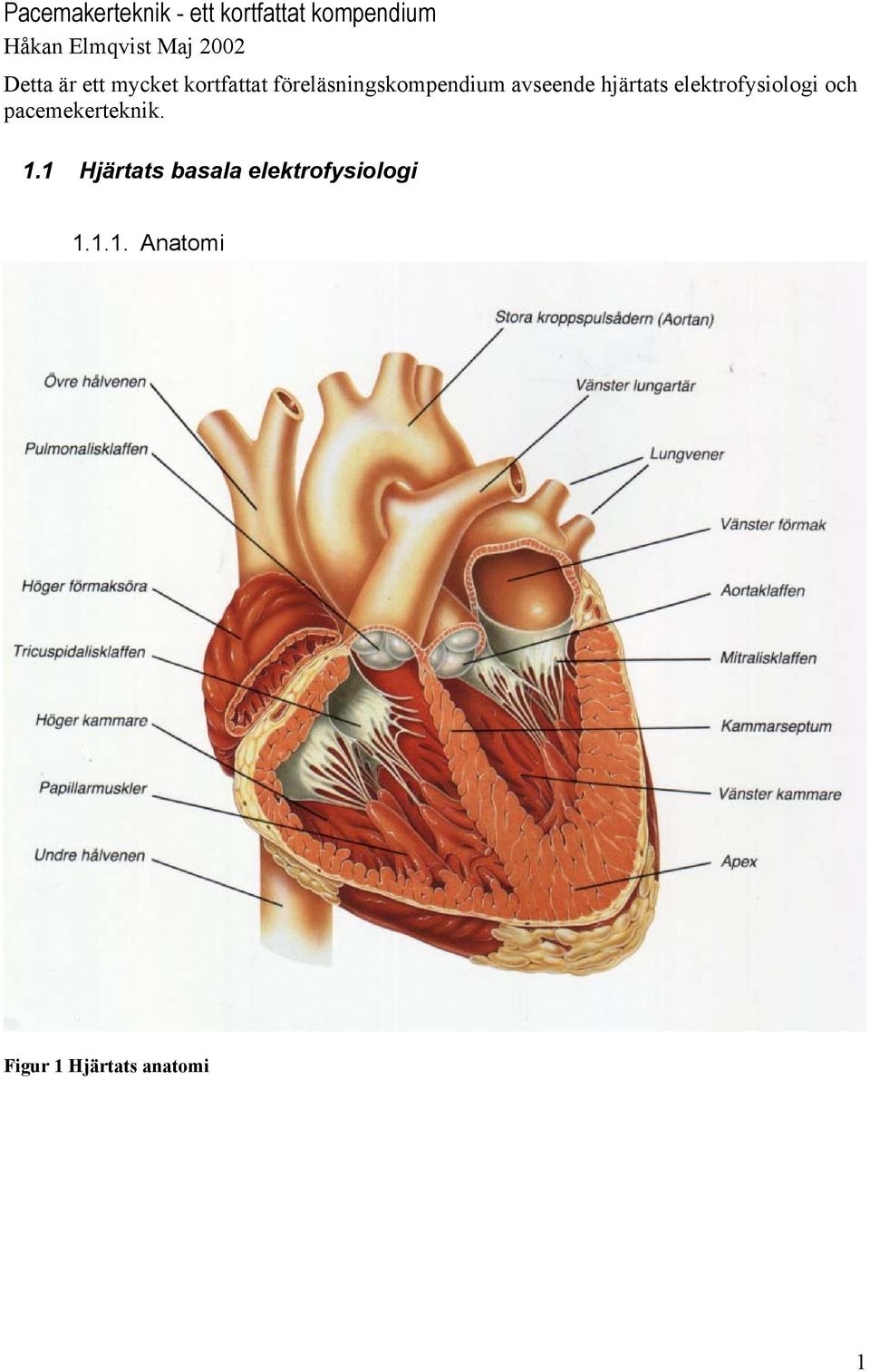 avseende hjärtats elektrofysiologi och pacemekerteknik. 1.