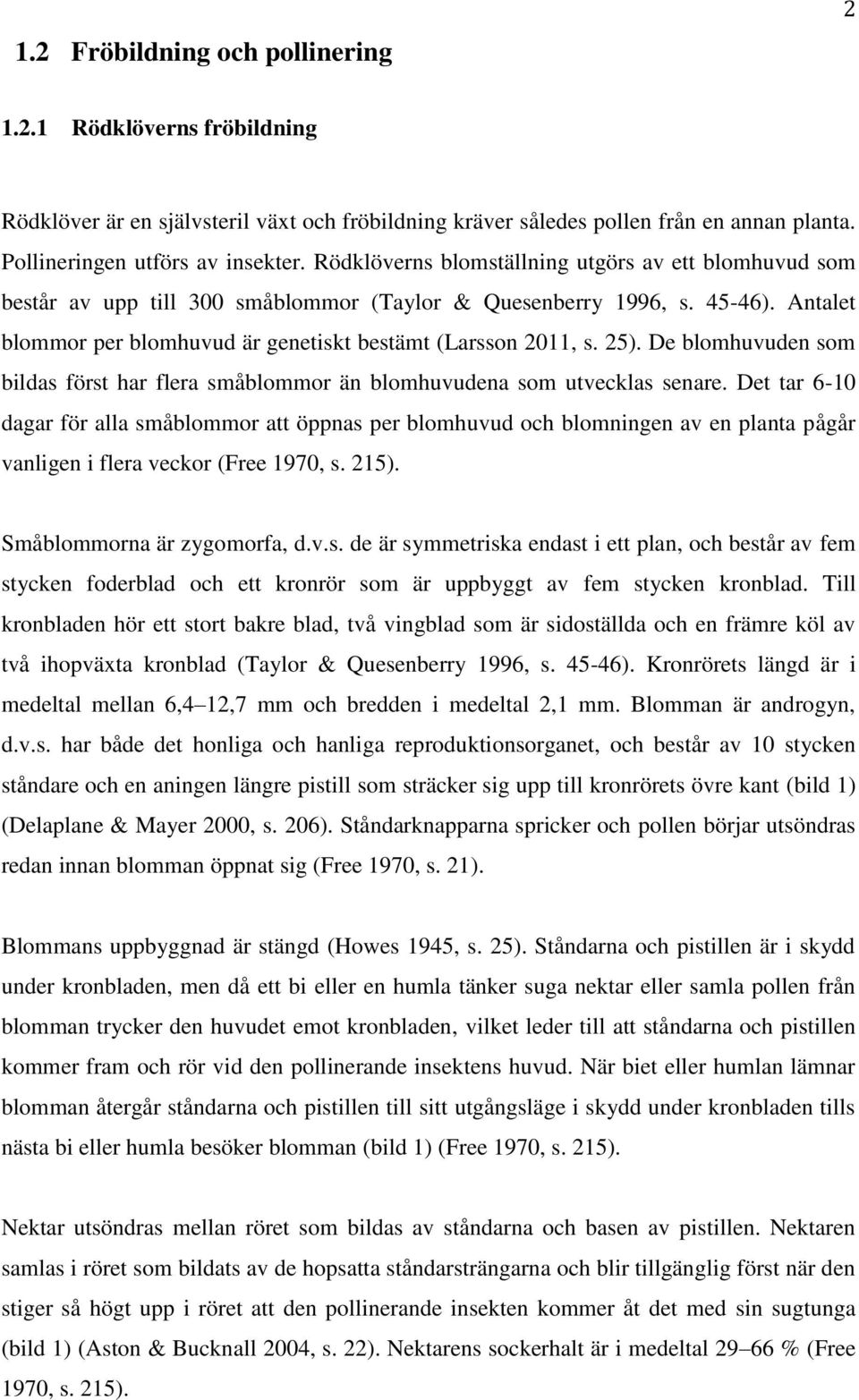 De blomhuvuden som bildas först har flera småblommor än blomhuvudena som utvecklas senare.